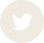 twitter icon.